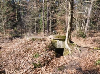 Randonnée A pied Wörth am Rhein - Westwallwanderweg Schaidt - Photo