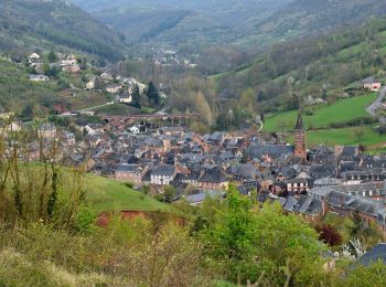 Randonnée A pied Marcillac-Vallon - De la Vigne à la Forêt - Photo