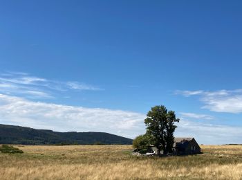 Tocht Mountainbike Saint-Paul-le-Froid - AUTOUR DES BISONS - Photo