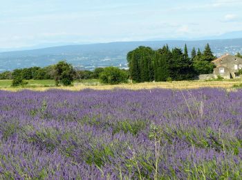 Trail Walking Clansayes - SityTrail - Clansayes Le Rouvergue 6km - Photo