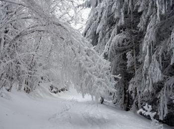 Excursión Raquetas de nieve Saint-François-de-Sales - Les-Creusates-2021-01-04 - Photo