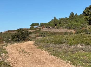 Randonnée sport Clermont-l'Hérault - Oppidum de la Ramasse  - Photo