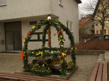 Tocht Te voet Spiegelberg - Rundwanderweg S1 - Photo