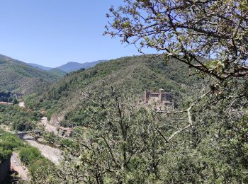 Randonnée Marche Vals-les-Bains - Autour de Nieigles - Photo