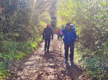 Trail On foot Belle-Isle-en-Terre - Belle Isle en Terre - Le Dresnay - Photo