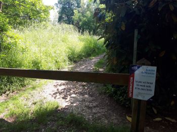 Percorso Marcia Magny-les-Hameaux - bois des roches - Photo