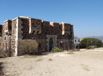 Percorso Marcia Six-Fours-les-Plages - Sentier littoral - Photo