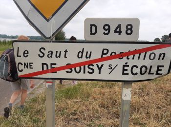 Randonnée Marche nordique Champcueil - pierre hivert forêt Grands Aveaux - Photo