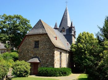 Percorso A piedi Angelburg - Extratour Hirzenhainer Höhenflug - Photo