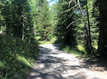 Tour Wandern Morgex - Lac d’Arpy - Photo