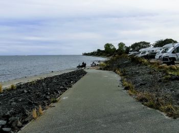 Tocht Te voet Dahme - Leuchtturm-Wald-Route - Photo