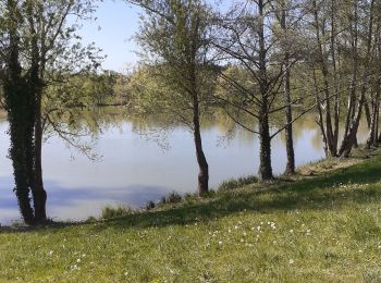 Tour Wandern Peyrins - Peyrins - Photo