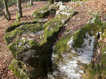 Tocht Te voet Heidenheim - Rundwanderweg 20 - Photo