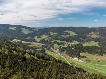 Trail On foot Frauenstein - Pulst-Sörg-Lorenziberg-Runde - Photo