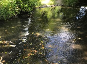 Tour Wandern Ruffigné - 15.07.2019 - RUFFIGNE à ST AUBIN DES CHÂTEAUX sud - Photo