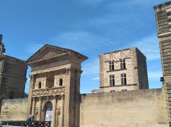 Randonnée Marche La Tour-d'Aigues - La Tour D'Aigues - Photo