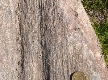Randonnée A pied Jaillons - Sur les traces d'Hannibal / Sulle tracce di Annibale - Photo