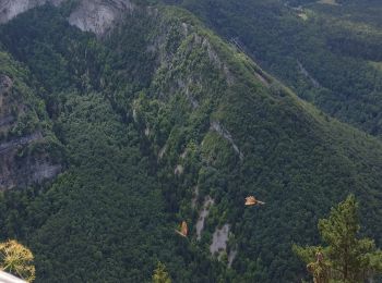 Excursión A pie Villard-Saint-Sauveur -  GORGES DU FLUMEN - Photo