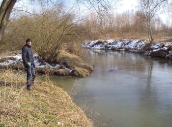 Percorso A piedi Česká Lípa - NS NPP Peklo - Photo