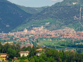 Excursión A pie Gubbio - Via di Francesco - Tappa 8 Gubbio-Eremo di San Pietro in Vigneto - Photo