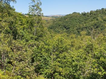 Randonnée Marche Le Cayrol - anglard  sentier pédestre des ardoisiers - Photo