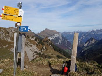 Tocht Te voet Isenthal - Sankt Jakob - Sinsgäuer Schonegg - Photo