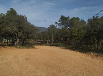 Tocht Stappen Sainte-Anastasie-sur-Issole - Ste Anastasie plateau de Thèmes - Photo