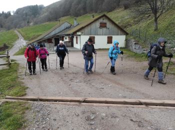 Trail Walking Wasserbourg - Boenlesgrab P Ballon - Photo