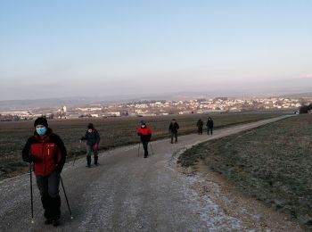 Randonnée Marche Boulay-Moselle - randonnée du 11/02/22 - Photo