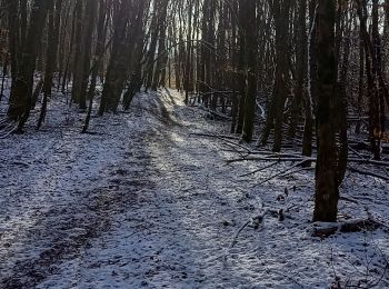 Tocht Elektrische fiets Strueth - sortie vtt 21012024 mertzen - Photo