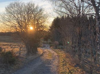 Tour Wandern Champclause - PR tour des Bastiers - Photo