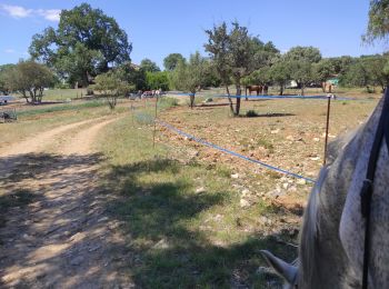 Randonnée Randonnée équestre Orthoux-Sérignac-Quilhan - mas bas - corconnes en boucle - Photo