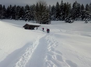 Excursión Raquetas de nieve Cornimont - Raquettes LE BRABANT - Photo