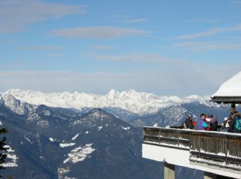Tocht Te voet Brixen - Bressanone - Brixener Höhenweg - Photo