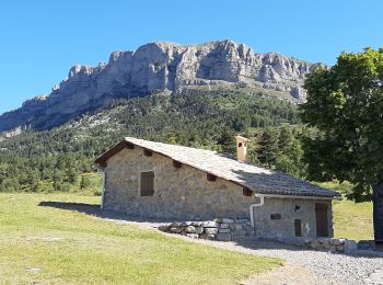 Trail Walking Le Castellard-Mélan - AUTHON Fontbelle,  piste forestière du Pras au pied de Gueruen,  col d Ainac AR o l s - Photo