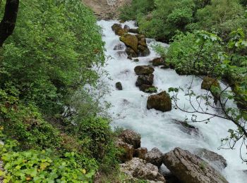 Percorso Marcia Fontaine-de-Vaucluse - la fontaine de Vaucluse - Photo