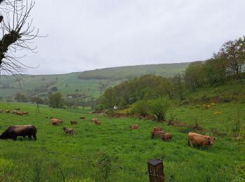 Trail Walking Saint-Chély-d'Aubrac - Mon chemin de St Guilhem étape 3 - Photo