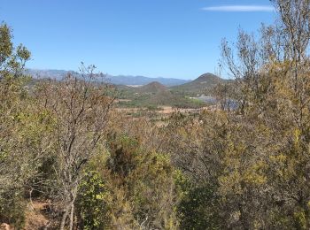 Trail Walking Porto-Vecchio - Santa giulia - Photo