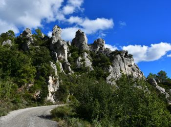 Tocht Stappen La Roquebrussanne - La Roquebrussane - Massif de la Loube - Chapelle ND de l'Inspiration - Photo