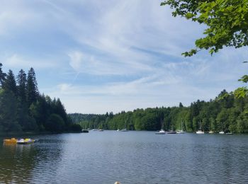 Excursión Bici de montaña Badonviller - sortie vtt du 03062018 rando pierre percée  - Photo