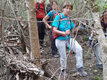 Excursión Senderismo Saint-Marc-Jaumegarde - Tour de Bimont 10-10-2021 - Photo