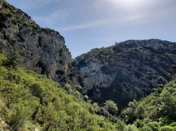 Tocht Stappen Moustiers-Sainte-Marie - la bergerie de marignol.  - Photo