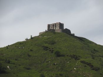 Tour Zu Fuß Genua - sentiero dei cani - Photo