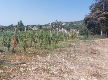 Randonnée V.T.T. Mormoiron - Chemin des Vendanges - Photo