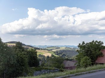 Excursión A pie Gemeinde Bernstein - Redlschlag - Bernstein über Bienenhaus - Photo