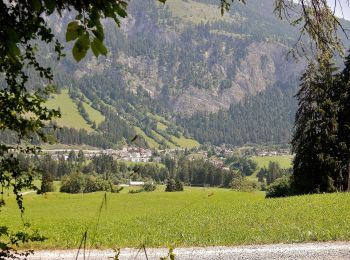 Percorso A piedi Trin - Ruinaulta sut - Photo