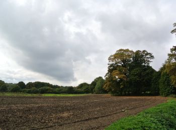 Tour Zu Fuß Rheden - Heuven Beekhuizen Veluwezoom - Photo