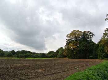 Excursión A pie Rheden - Heuven Beekhuizen Veluwezoom - Photo