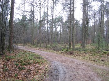 Trail On foot Barneveld - Putten naar Krachtighuizen - Photo