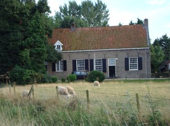 Trail On foot Montferland - Laarzenpad - Photo